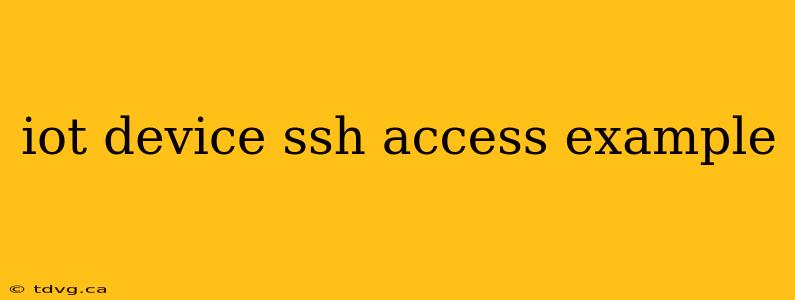 iot device ssh access example