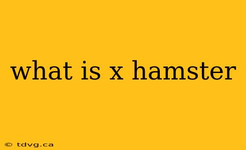 what is x hamster