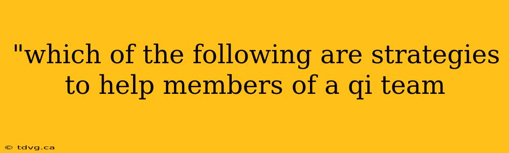 "which of the following are strategies to help members of a qi team 