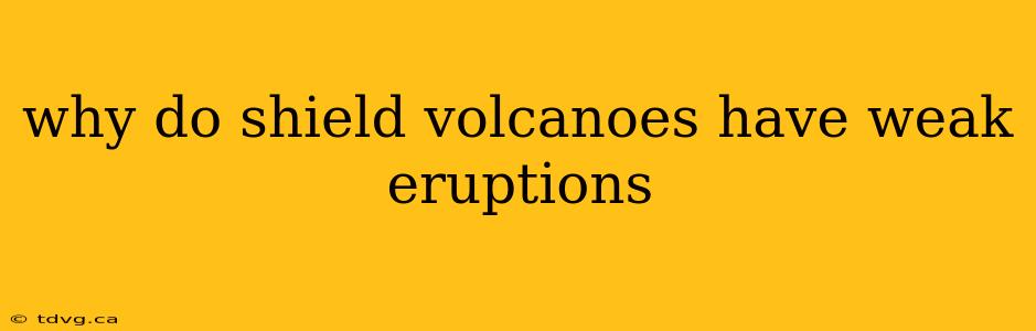 why do shield volcanoes have weak eruptions